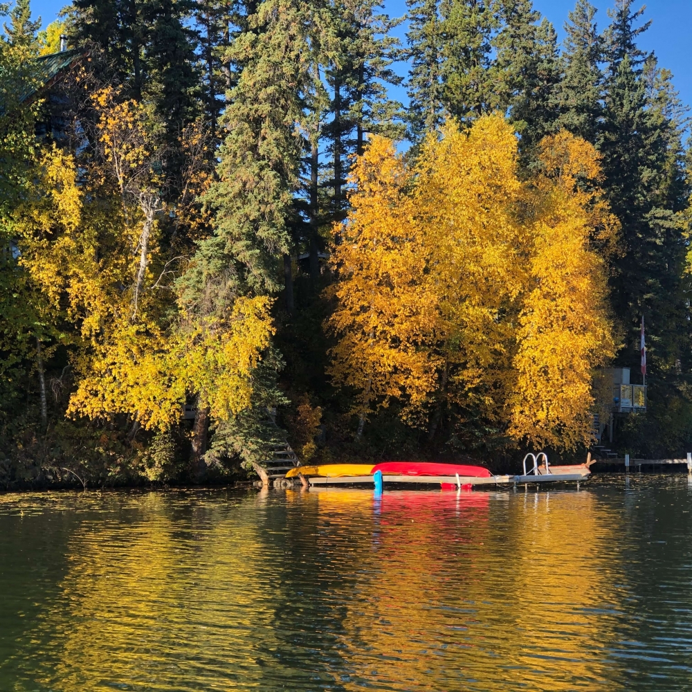 Canoe on dock beneath towering trees in autumn colors
