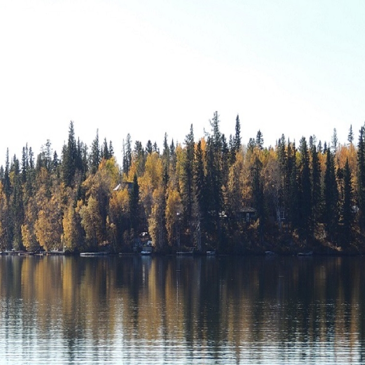 Lake lined by trees in autumn colors